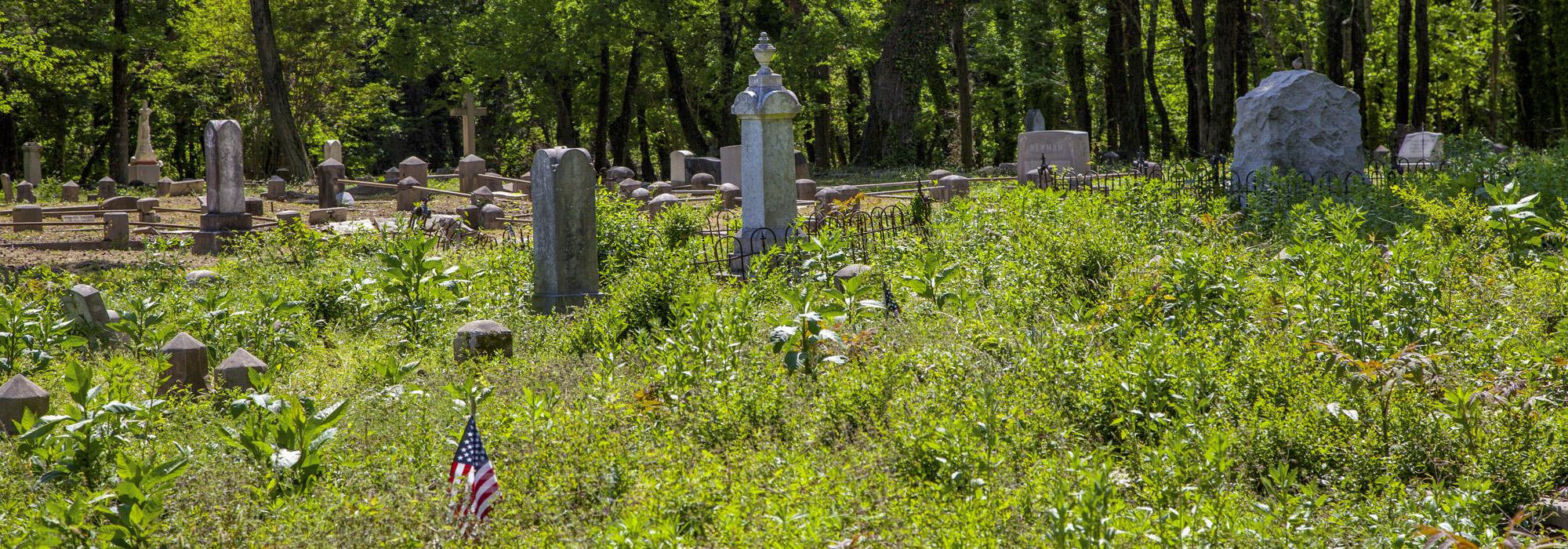 Evergreen Cemetery, Richmond, VA