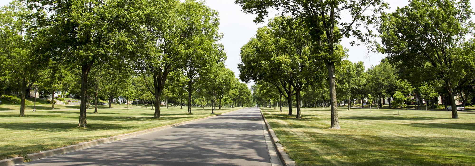 Victory Memorial Parkway, Minneapolis, MN