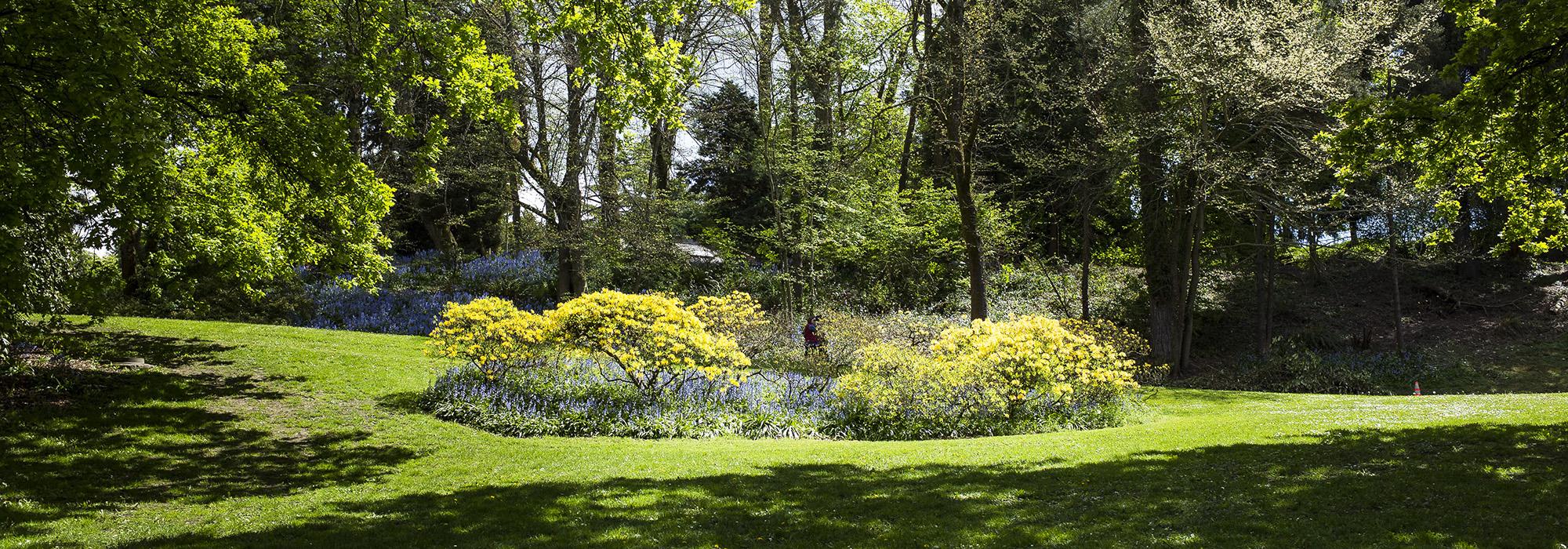 Volunteer Park, Seattle, WA