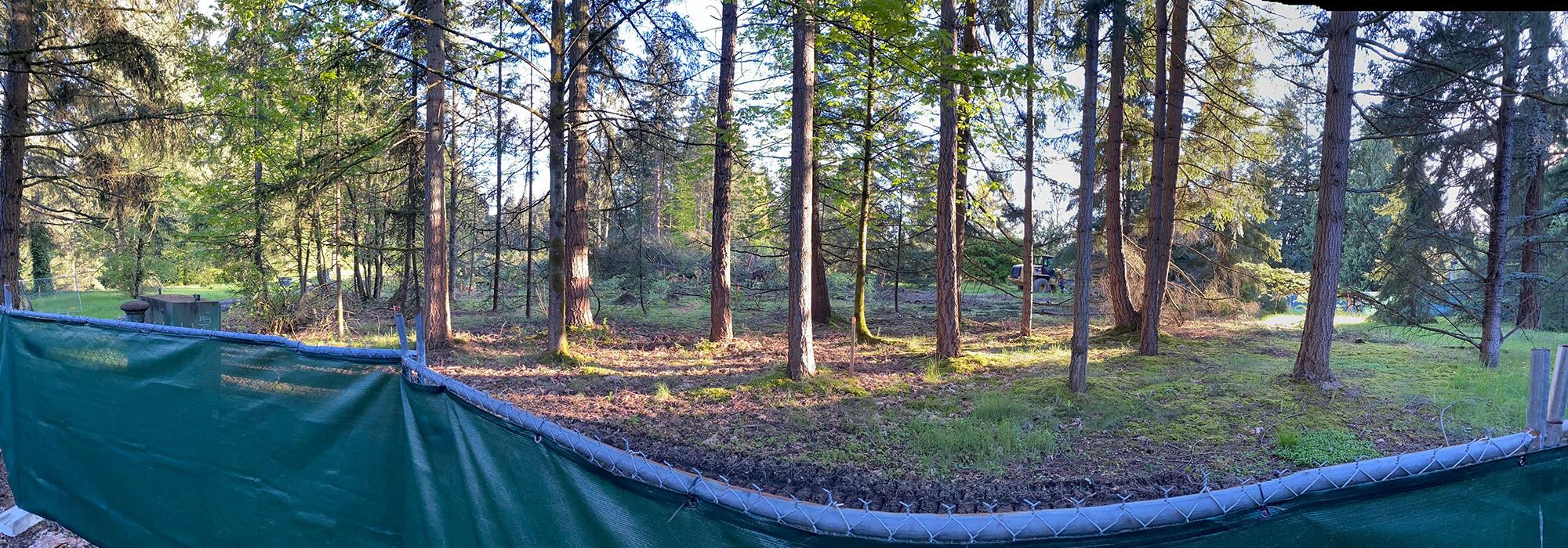 Weyerhaeuser International Headquarters, Federal Way, WA