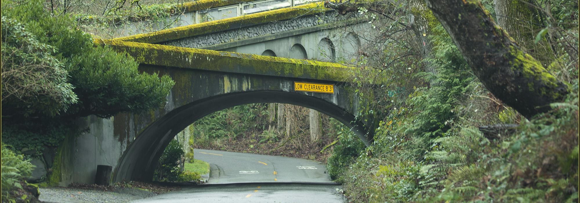 Lake Washington Boulevard, Seattle, WA