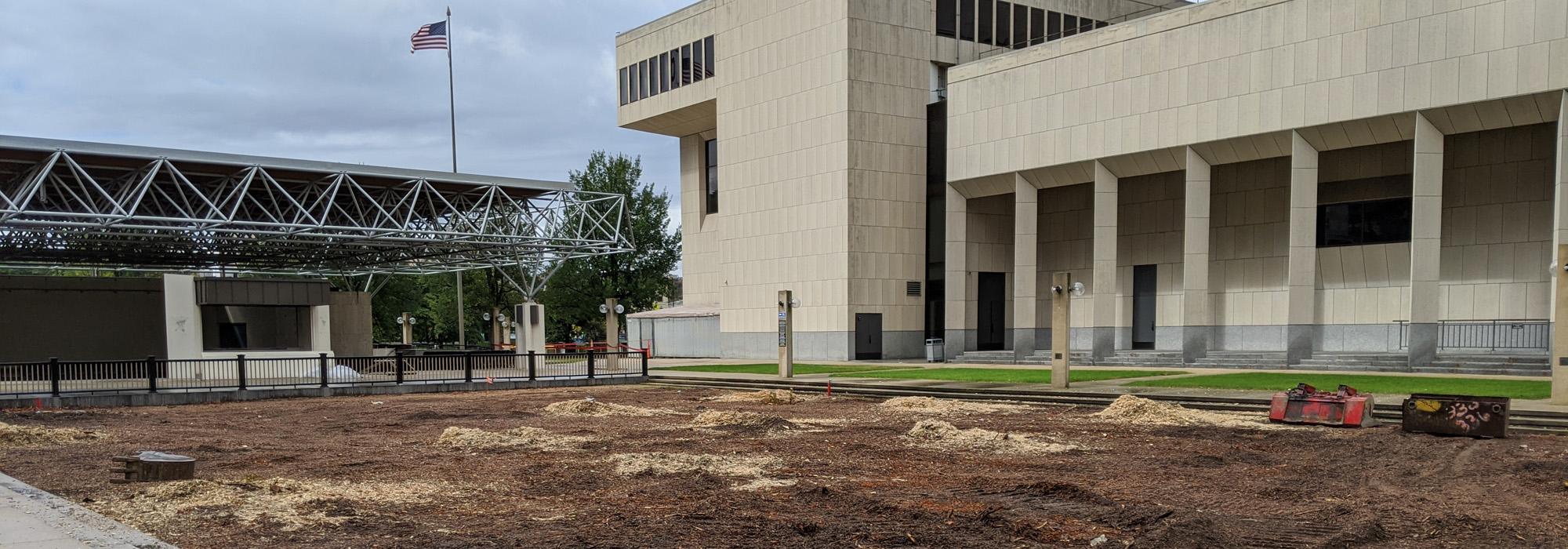 Original grove of trees at the Marcus Center cut down.