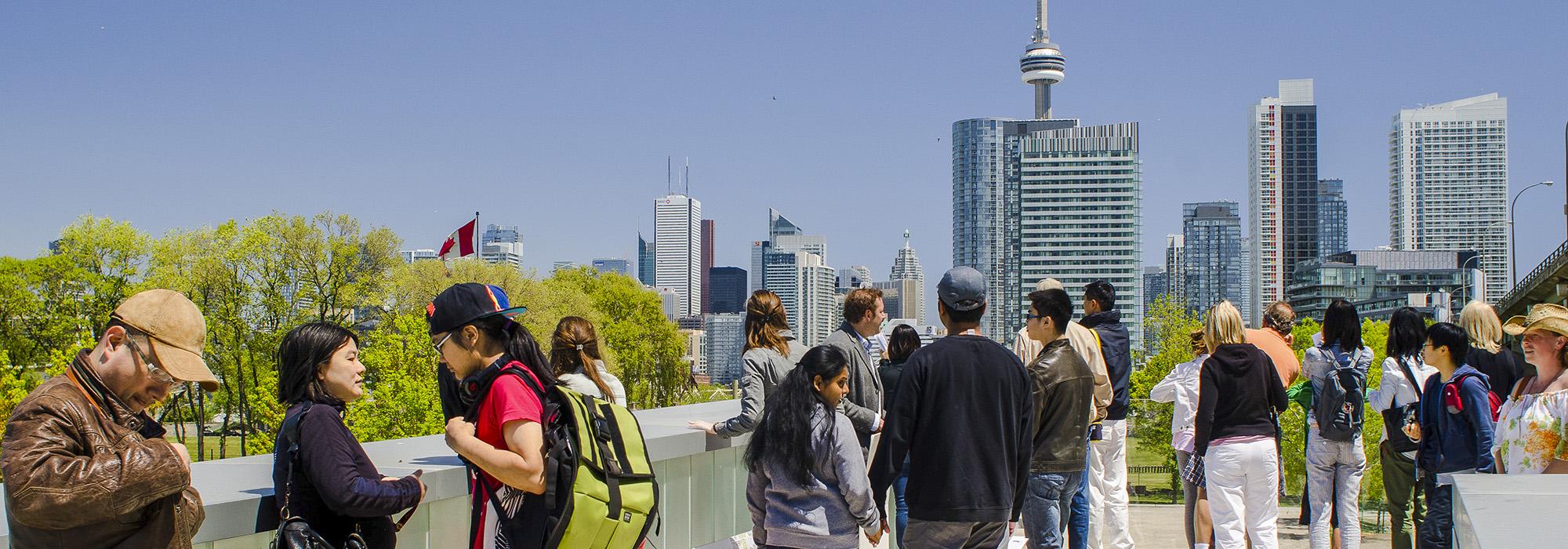 WOTW_Toronto_hero.jpg WOTW_Toronto_hero.jpg