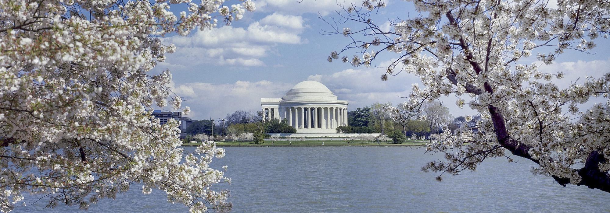 Tidal Basin, Washington, D.C.