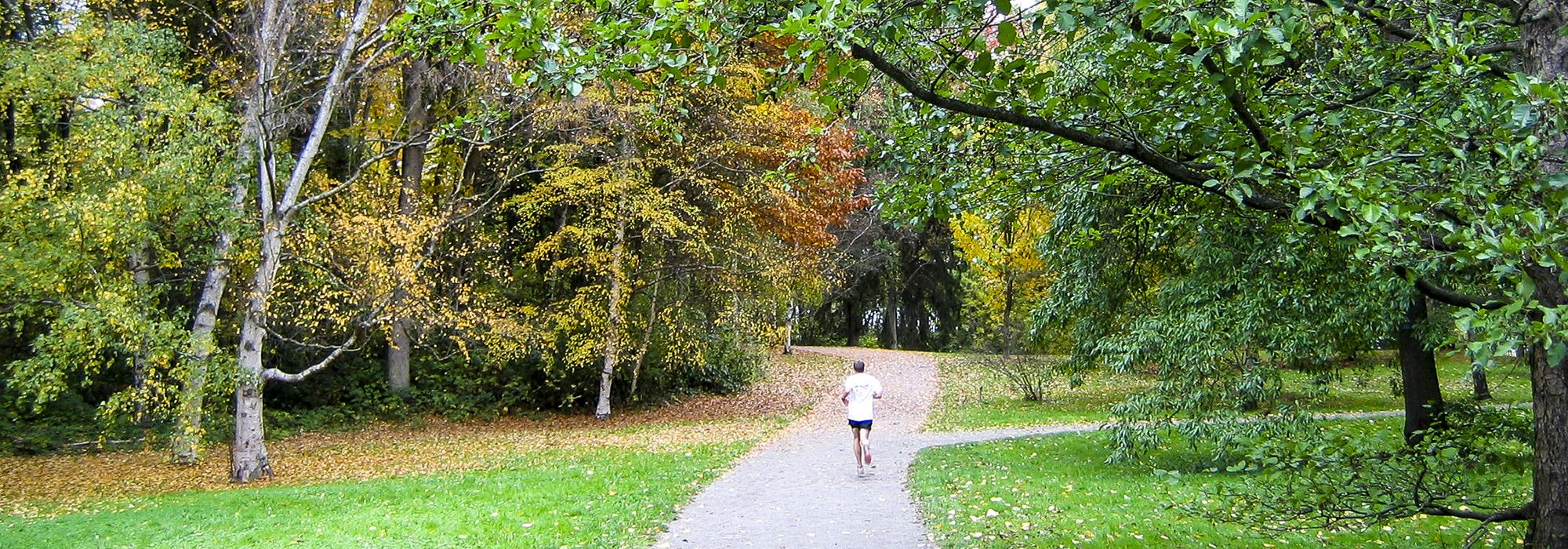 Washington Park Arboretum, Seattle, WA