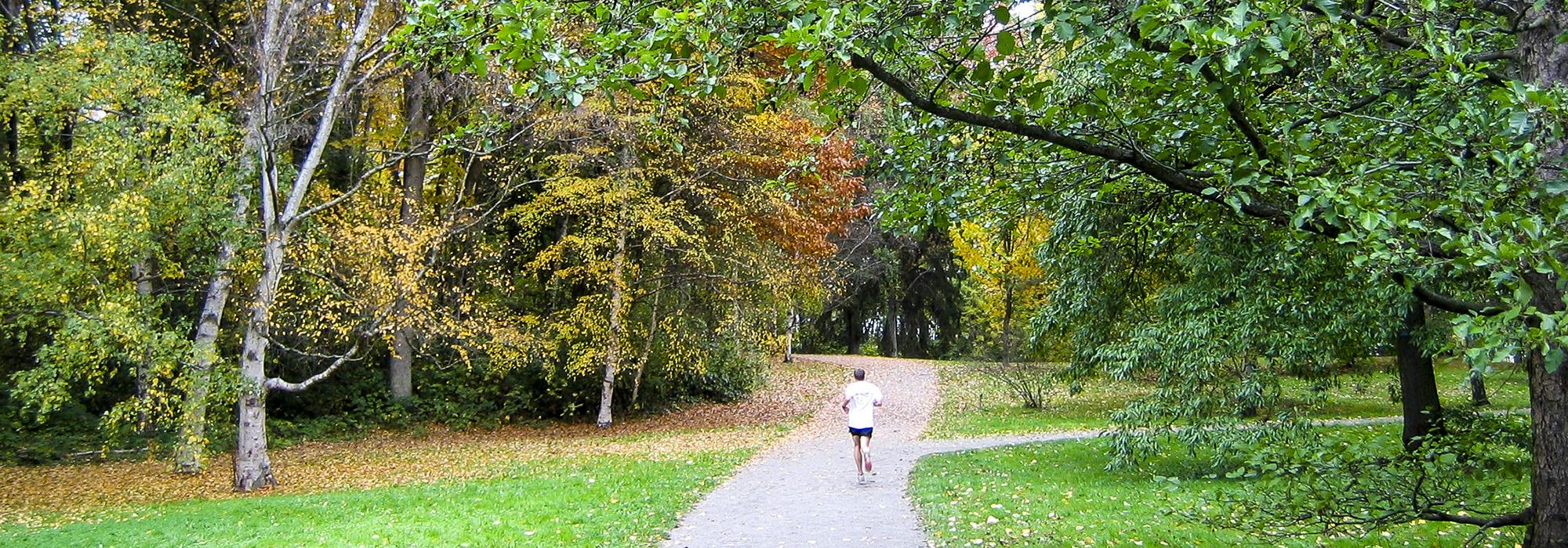 Washington Park Arboretum, Seattle, WA