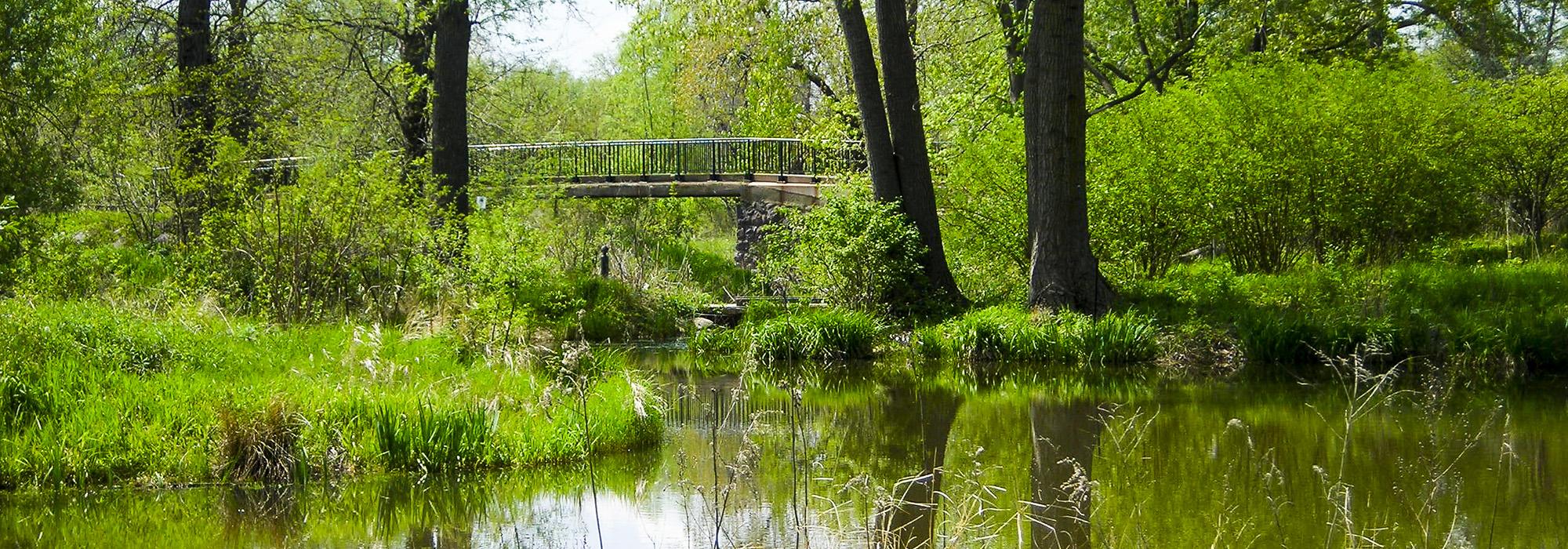 Washington Park, Chicago, IL