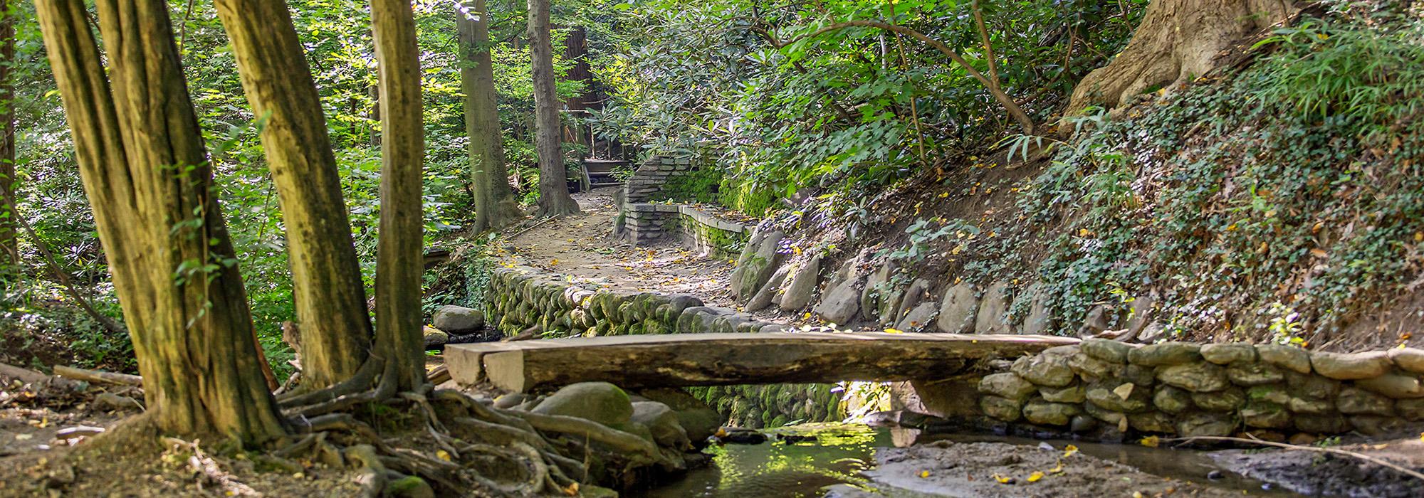 Dumbarton Oaks Park, Washington, D.C.