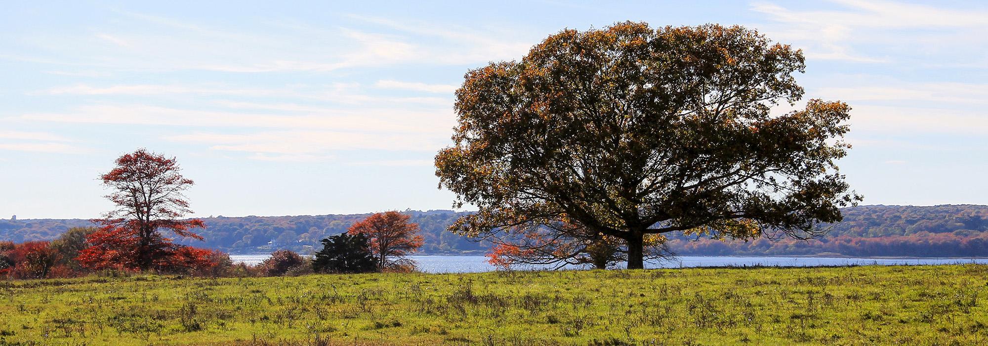 Watson Farm, Jamestown, RI