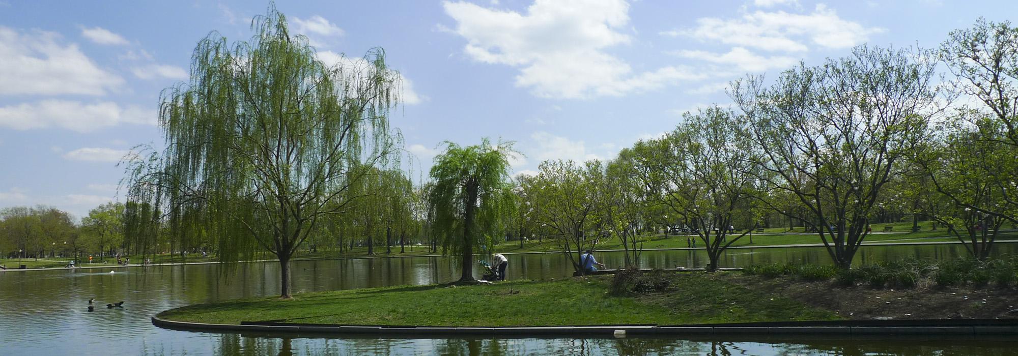 West Potomac Park, Washington, DC