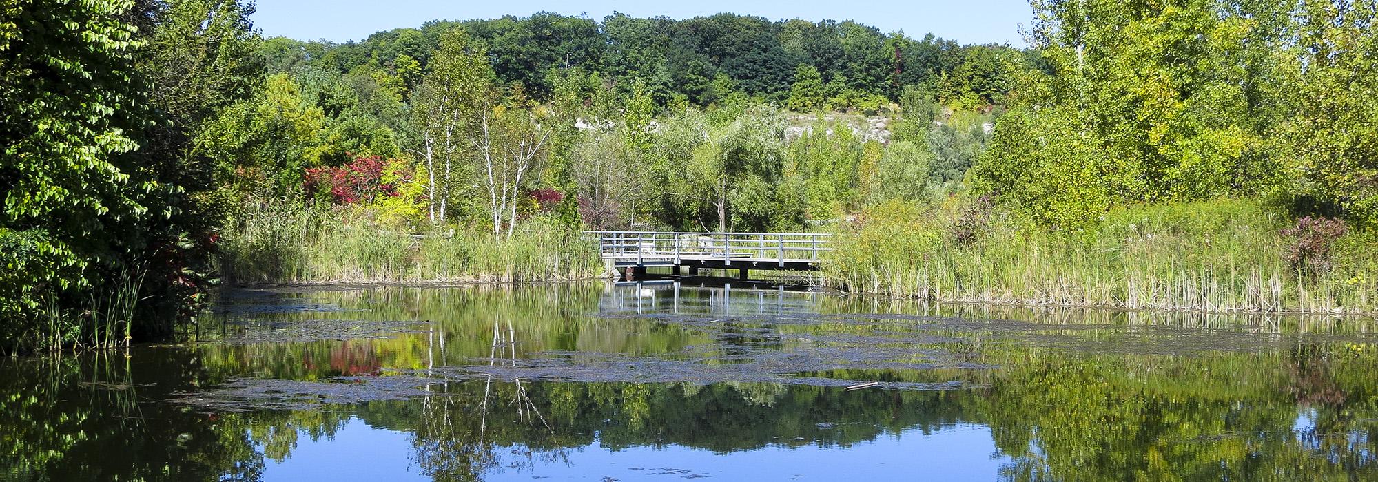 Weston Family Quarry Garden, Toronto, ON, Canada 