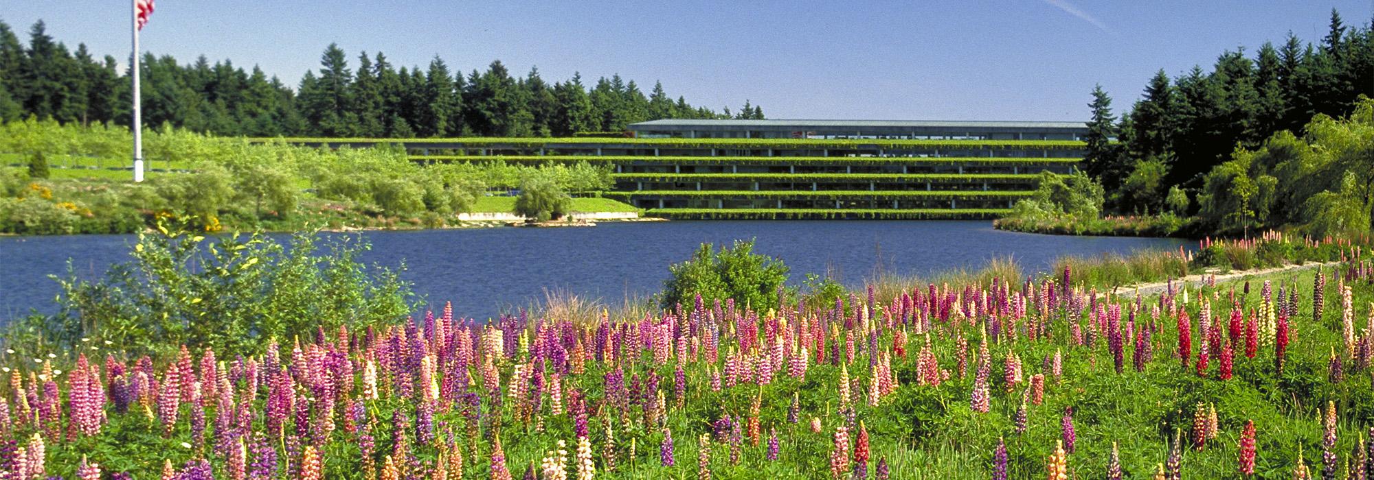 Weyerhaeuser Corporate Headquarters, Federal Way, WA