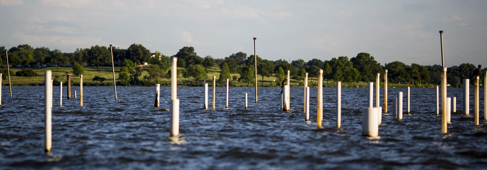 White Rock Lake Wildlife Water Theater, Dallas, TX