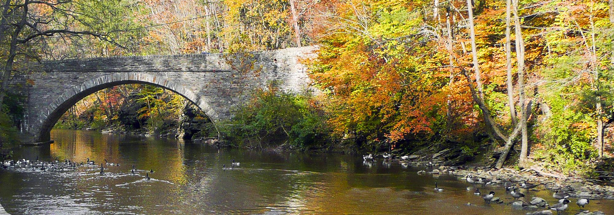 Wissahickon Valley Park, Philadelphia, PA