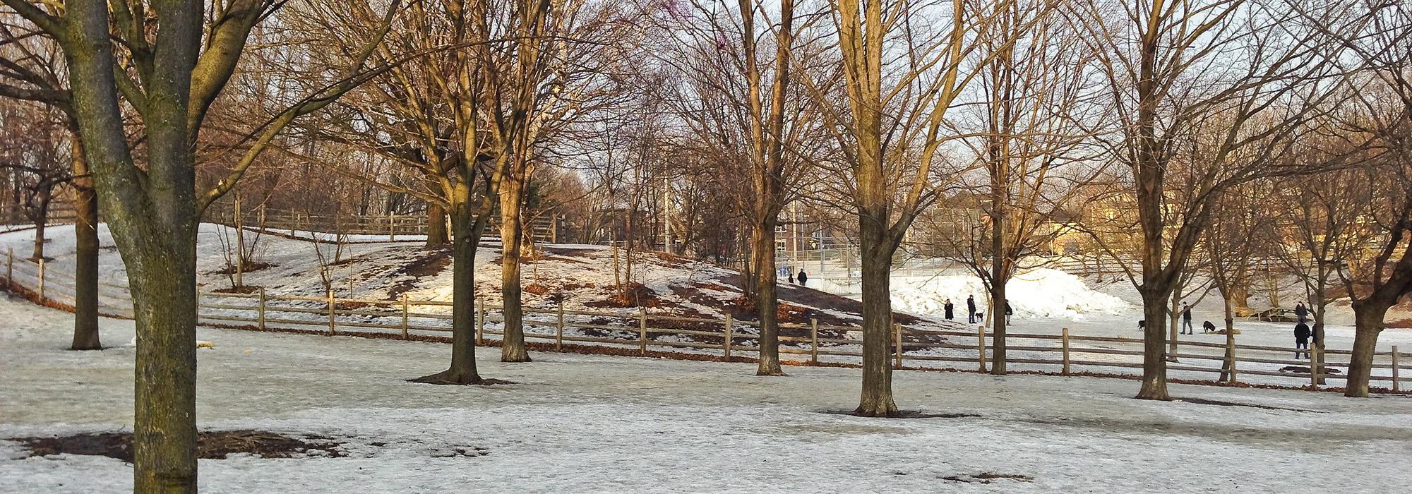 Withrow Park, Toronto,ON, Canada