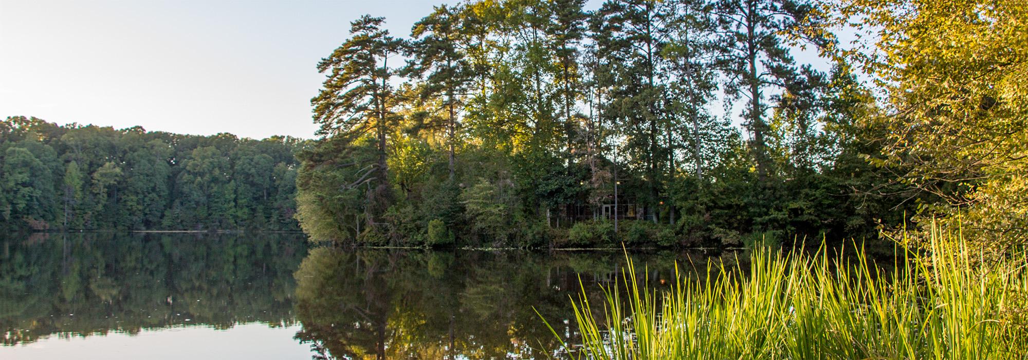 Historic Yates Mill County Park, Raleigh, NC