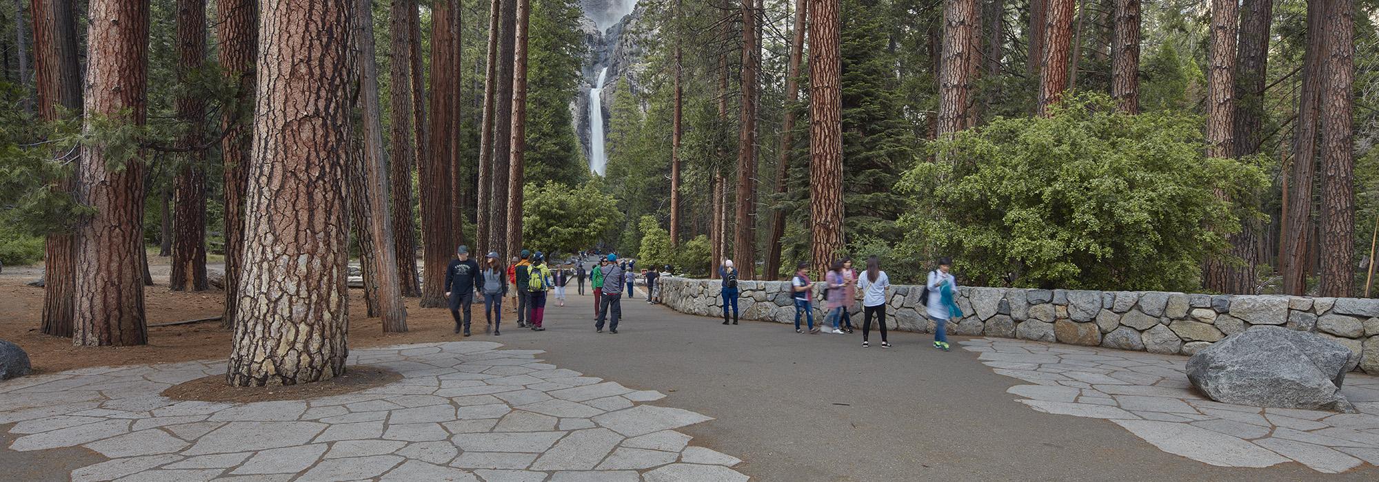 Yosemite Falls Corridor, Yosemite, CA