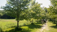 Dover Stone Church Preserve, Dover Plains, NY 