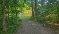 Ferncliff Forest, Rhinebeck, NY 