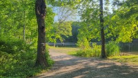 Ferncliff Forest, Rhinebeck, NY 