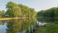 Ferncliff Forest, Rhinebeck, NY 