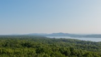 Ferncliff Forest, Rhinebeck, NY 