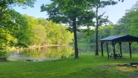 Ferncliff Forest, Rhinebeck, NY 