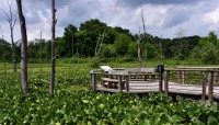 Cuyahoga Valley National Park 