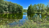 Holden Arboretum