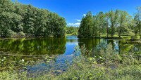 Holden Arboretum