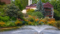 Holden Arboretum