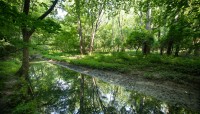 Garfield Park Reservation 