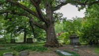 Lake View Cemetery 