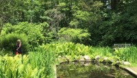 Pond with stone border with shrubs and grass around it. Trees in the background.