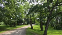 Winding driveway with grass and trees on either side.