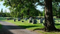Tree on right, path and grave markers on left