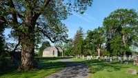 Tree on left in foreground, structure in background