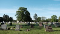 Grave markers in foreground, trees in background