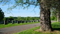 Tree on right, path and grave markers on left