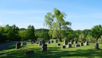 Grave markers in foreground, trees in background