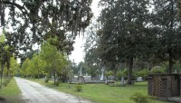 Path on the left, grave markers on the right, trees surround