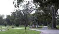 Curving path, trees on the right