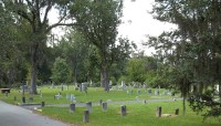 Grave markers in foreground, trees in background