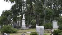Grave markers and live oaks