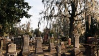 Grave markers in foreground, trees in background