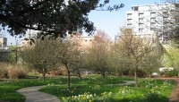 Curving path with trees on either side; buildings in background
