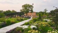 Boardwalk curves through garden toward pavilion in background; lush plants on either side.