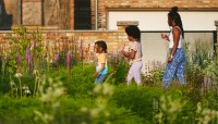 Three children walk among the flowering plants; brick wall in background.