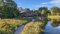 Marshy waterways leading to building 