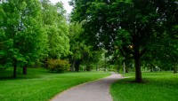 Curving path with grass and trees